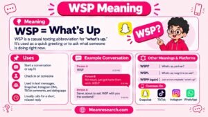 WSP Meaning In Text: The Complete Guide To This Everyday Slang Term